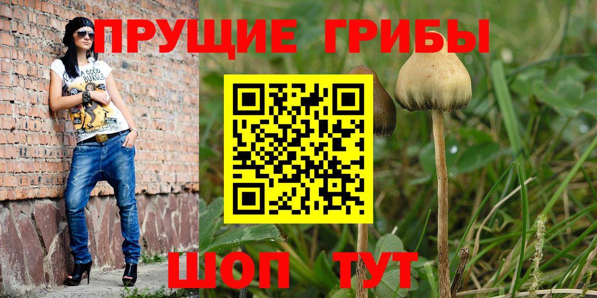 Псилоцибиновые грибы ЛСД Красноуфимск